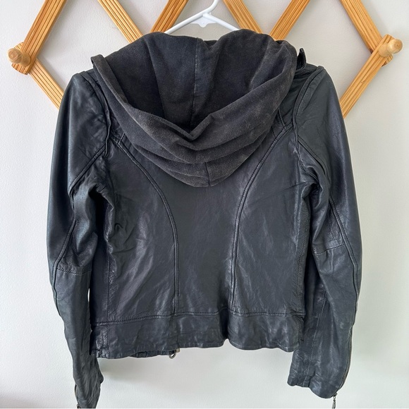 DOMA leather jacket - Picture 5 of 5